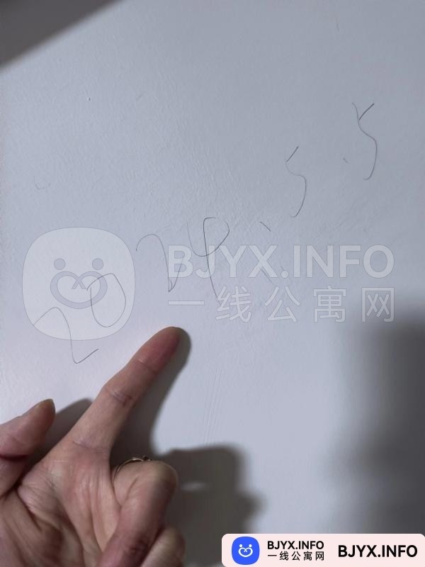 一线体验「上海•徐汇」一线VX4IPO号