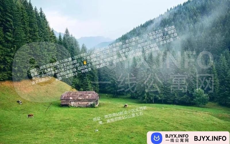 一线体验「江苏•南京」一线5N9JDC号