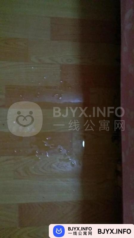 一线体验「辽宁•沈阳」一线9SU9YU号