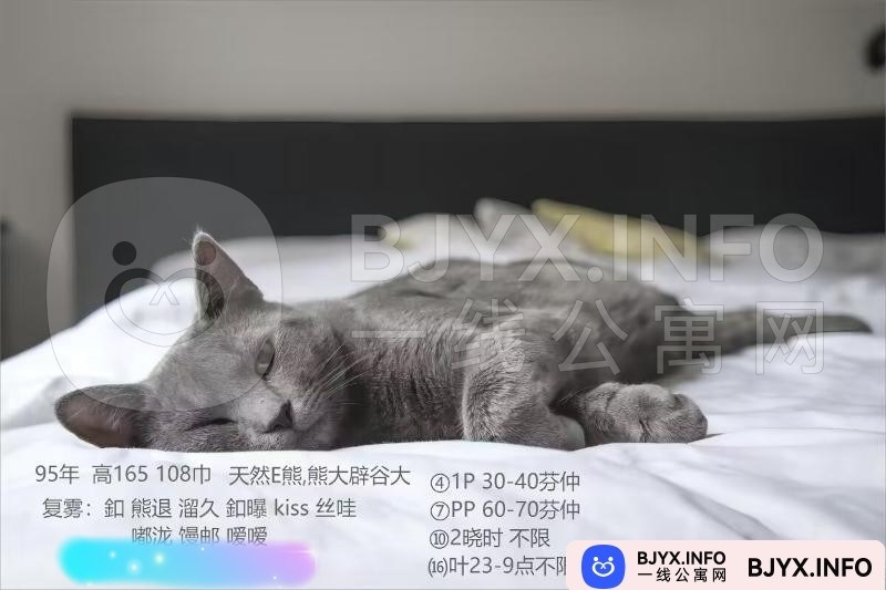 一线体验「江苏•南京」一线G354N2号