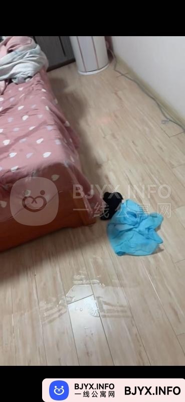 一线体验「辽宁•沈阳」一线G6YRRS号