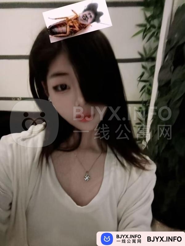 一线体验「安徽•合肥」一线8JT3MJ号