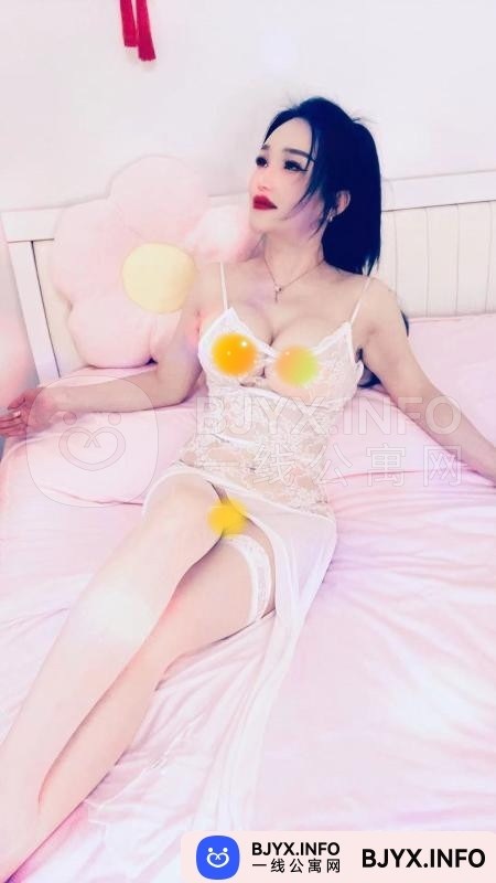 一线体验「上海•普陀」一线K9N3OG号