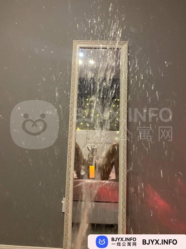 一线体验「上海•普陀」一线ODHBVH号