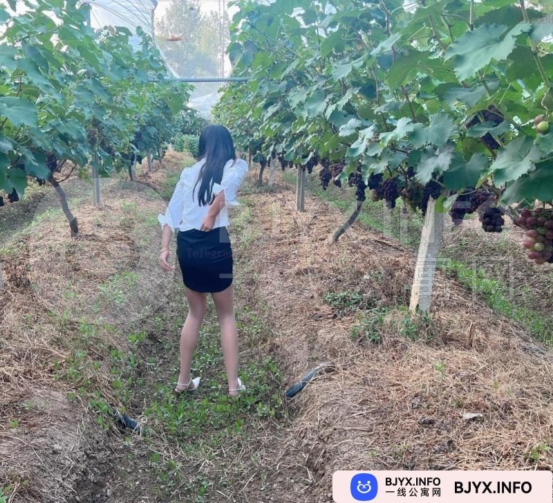 一线体验「江苏•常州」一线TDLW79号