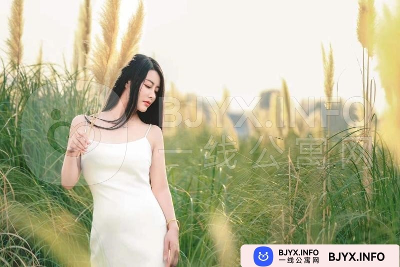 一线体验「陕西•西安」一线E8HCMY号