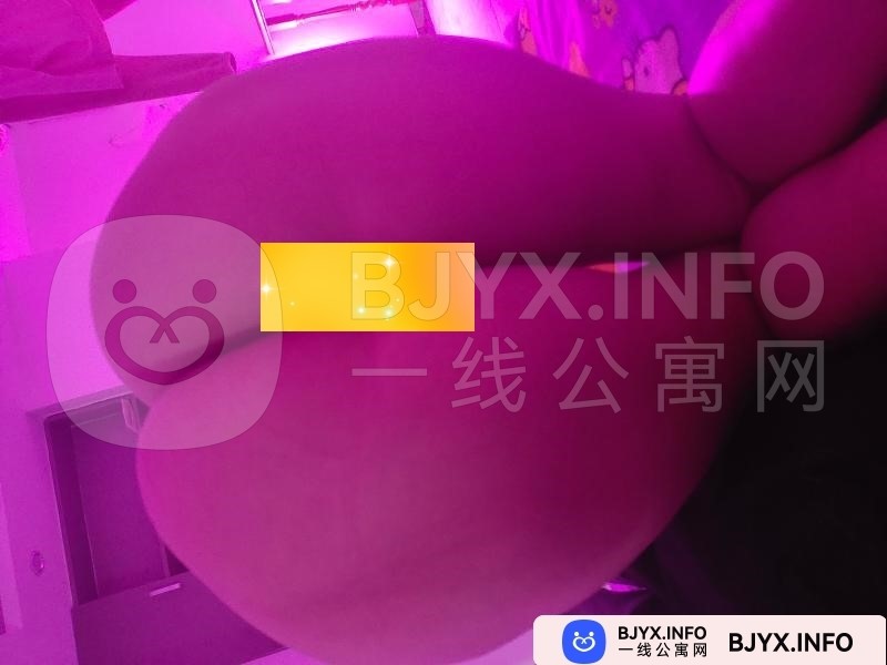 一线体验「天津•红桥」一线29B86J号
